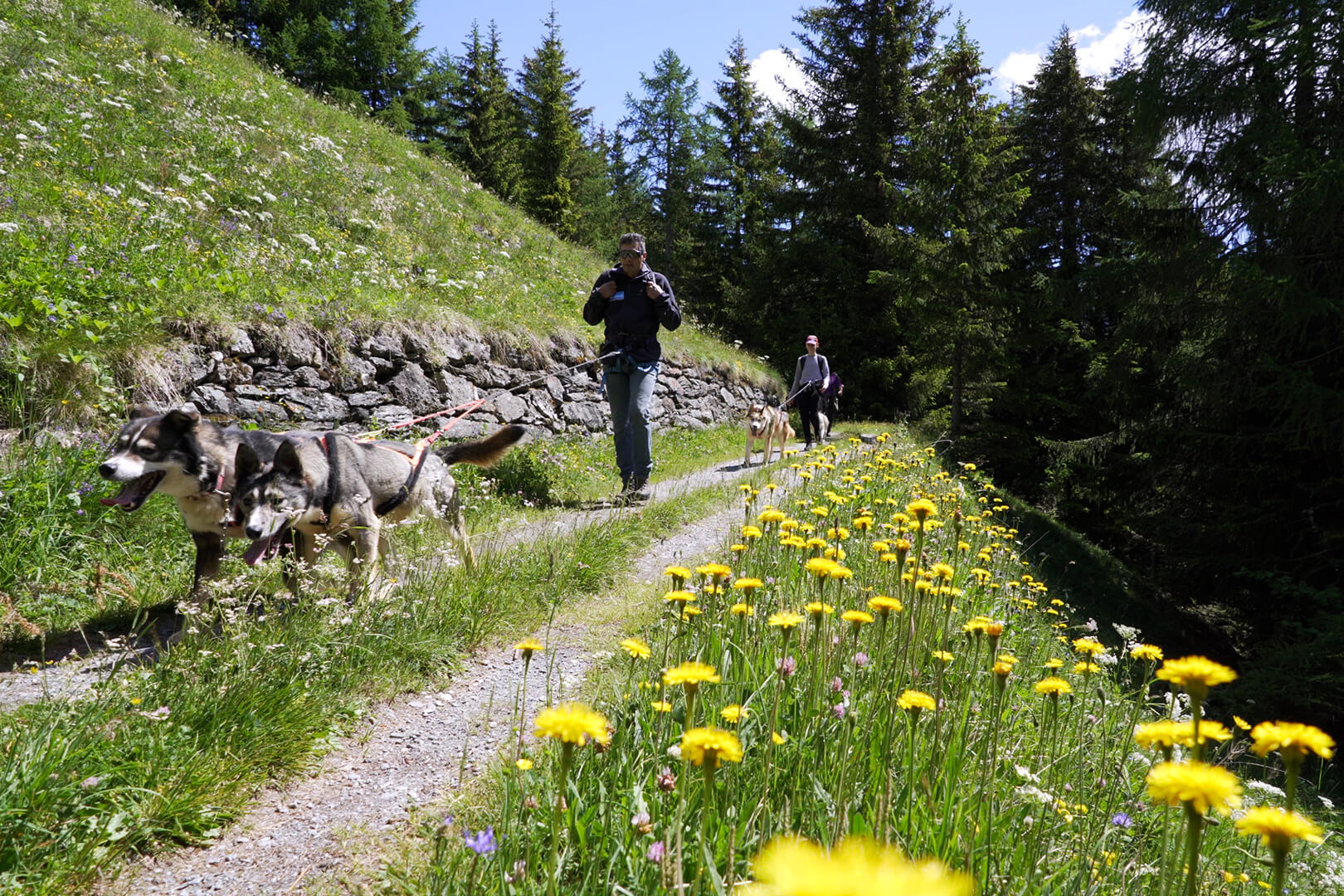 trekking con gli Husky in Val Viola