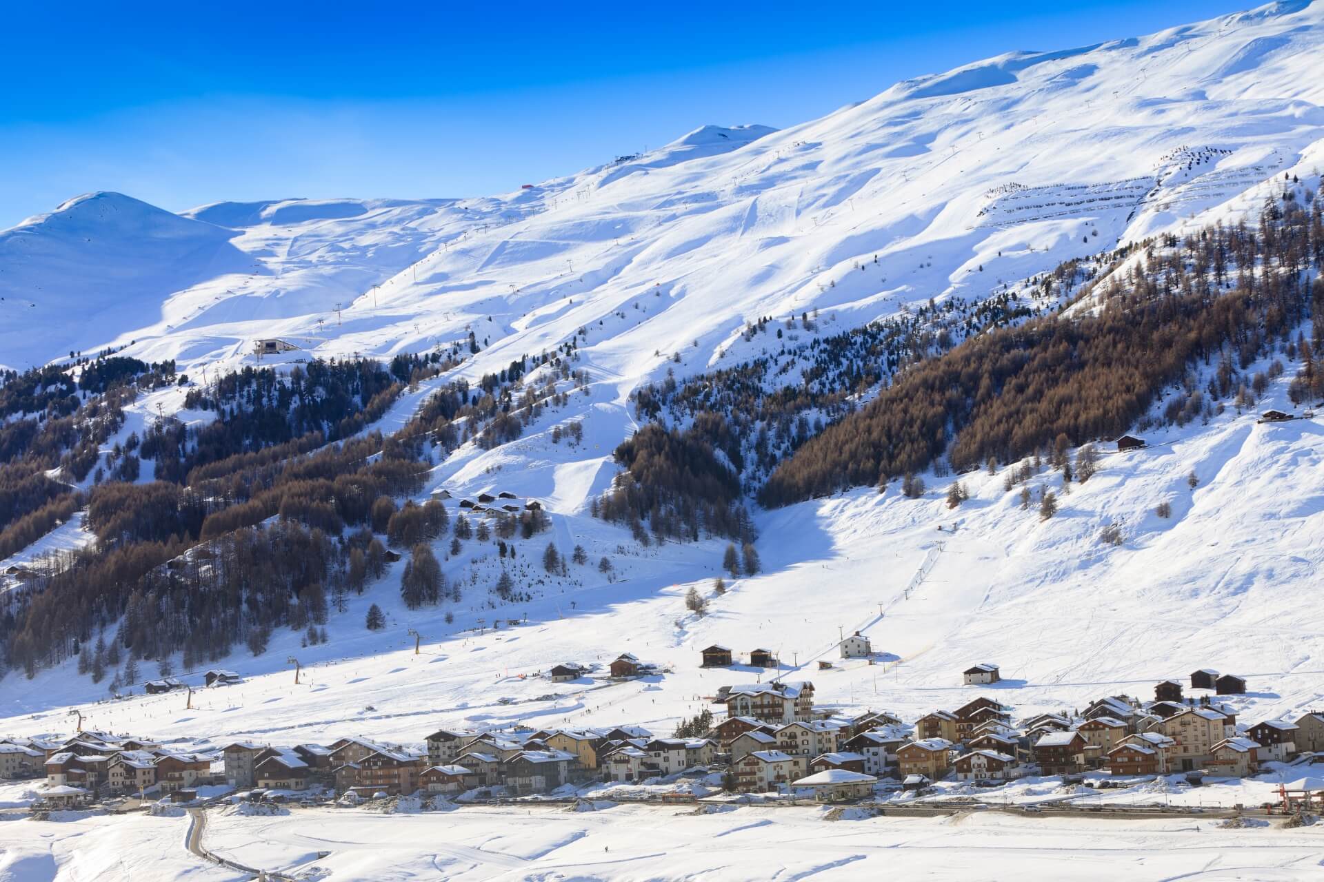 attività alternative allo sci a Livigno: escursione con cani da slitta (sleddog) all'Husky Village Valtellina